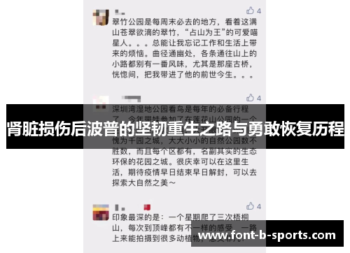 肾脏损伤后波普的坚韧重生之路与勇敢恢复历程 肾脏损伤后波普的坚韧重生之路与勇敢恢复历程