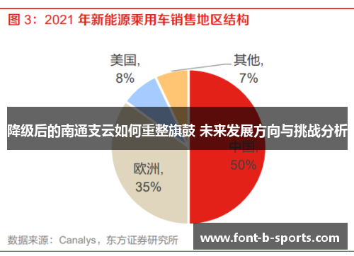 降级后的南通支云如何重整旗鼓 未来发展方向与挑战分析